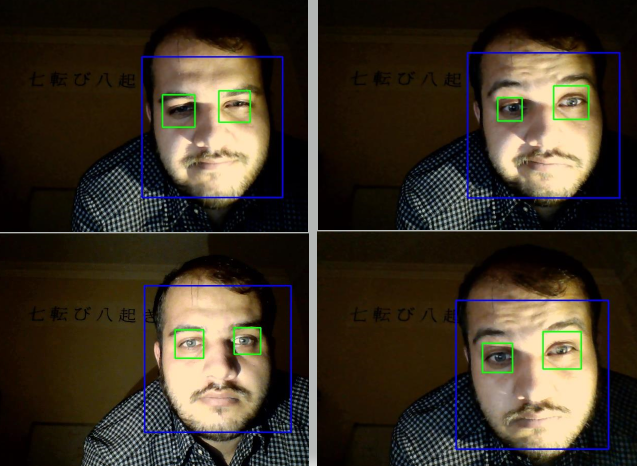 EyeFacedetection.png